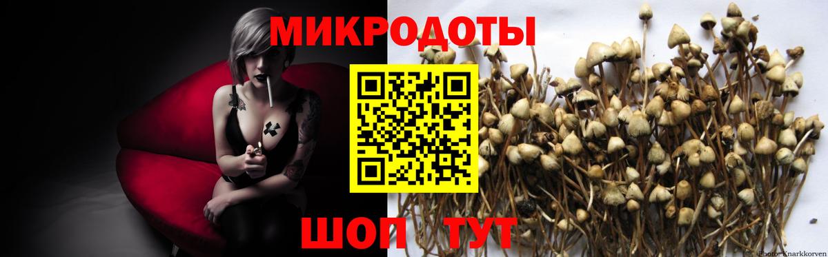 Псилоцибиновые грибы Magic Shrooms  Вход с VPN  Кудымкар 